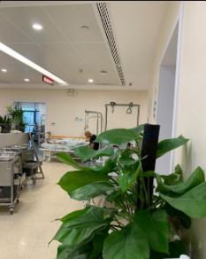 苏州市立医院和苏州薇琳美容医院哪个做自体脂肪祛泪沟