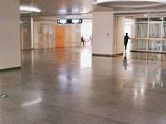 安徽医科大学第一附属医院