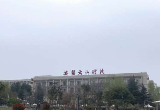安徽医科大学第二附属医院