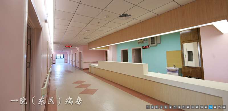 芜湖市负责人民医院