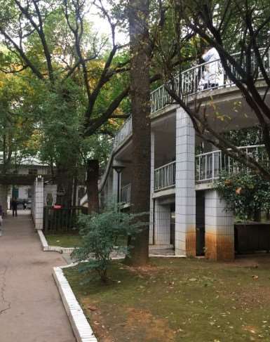 贵州医科大学附属医院