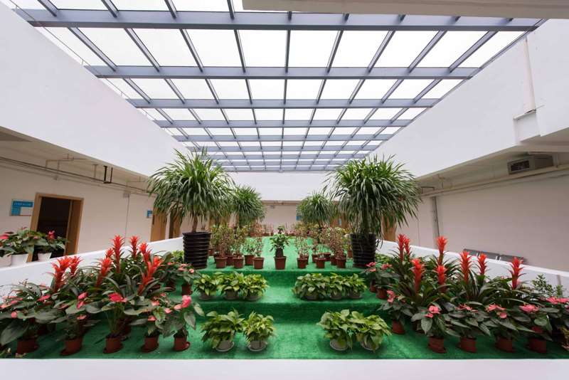 海南省第五人民医院