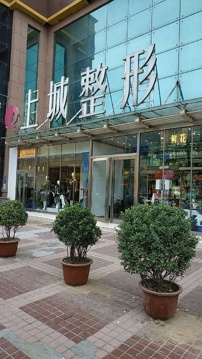金水上城整形