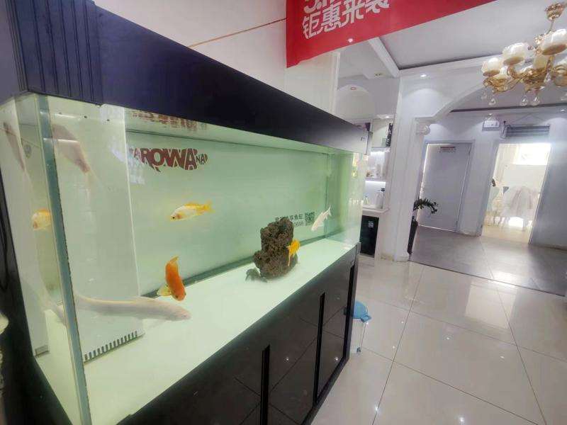 呼和浩特华美医疗美容诊所