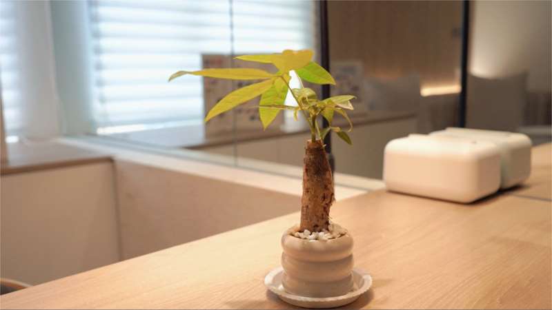 长春市盛羽医疗美容