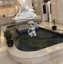 金皇后整形美容医院（和平店）
