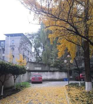 成都医学院第一附属医院