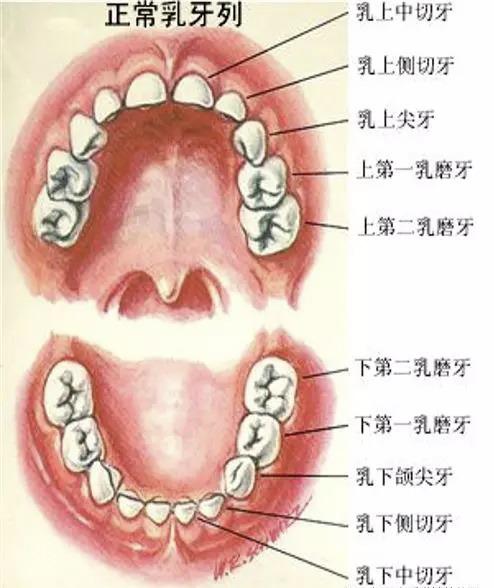 苏州金阊医院牙齿矫正价格贵吗？专业医生团队+隐形矫