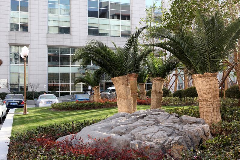 上海第九人民医院假体隆鼻修复价格是多少？2025全